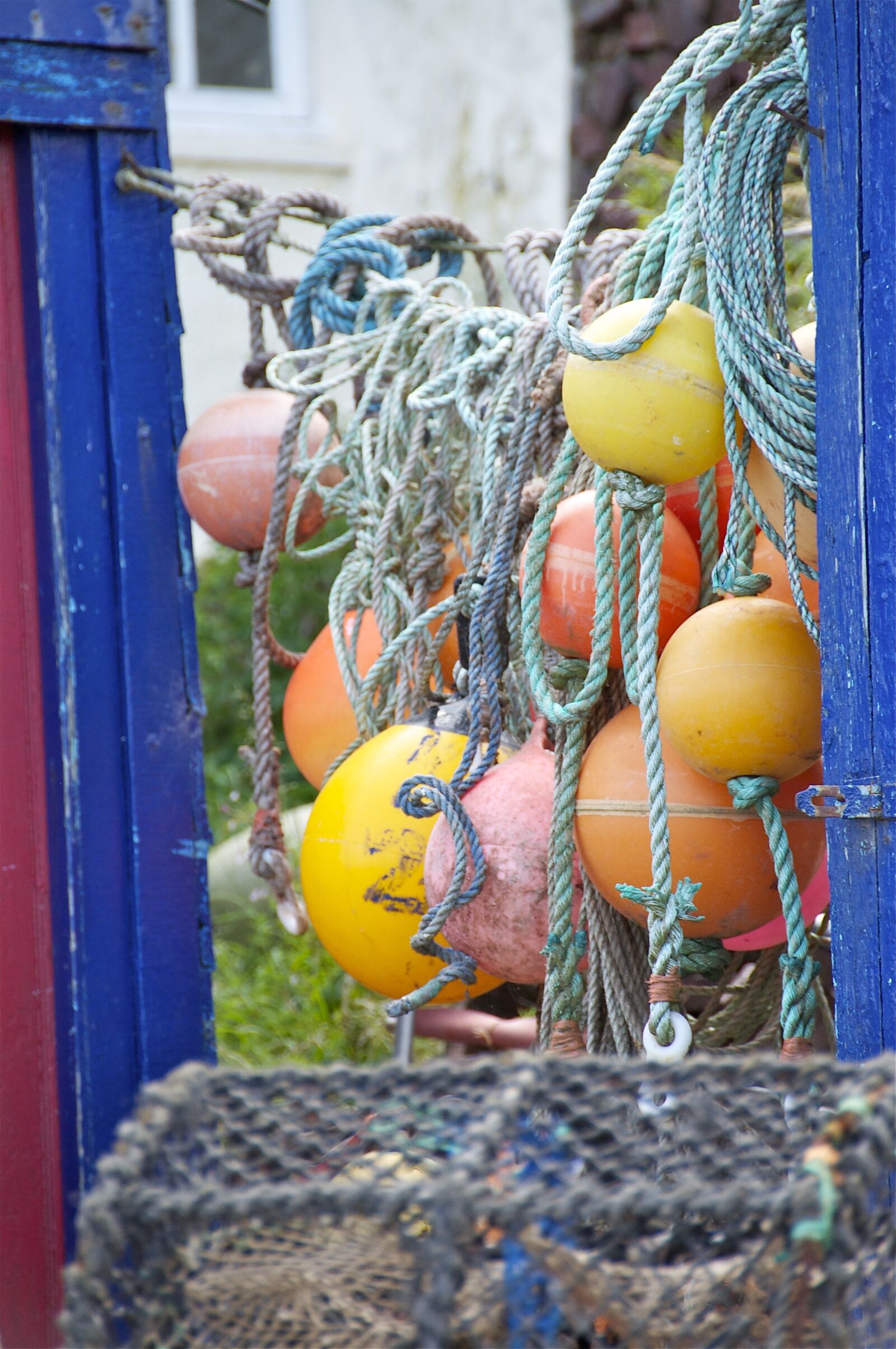 Nikon D5000 sample photo. Crab, lobster, buoy photography