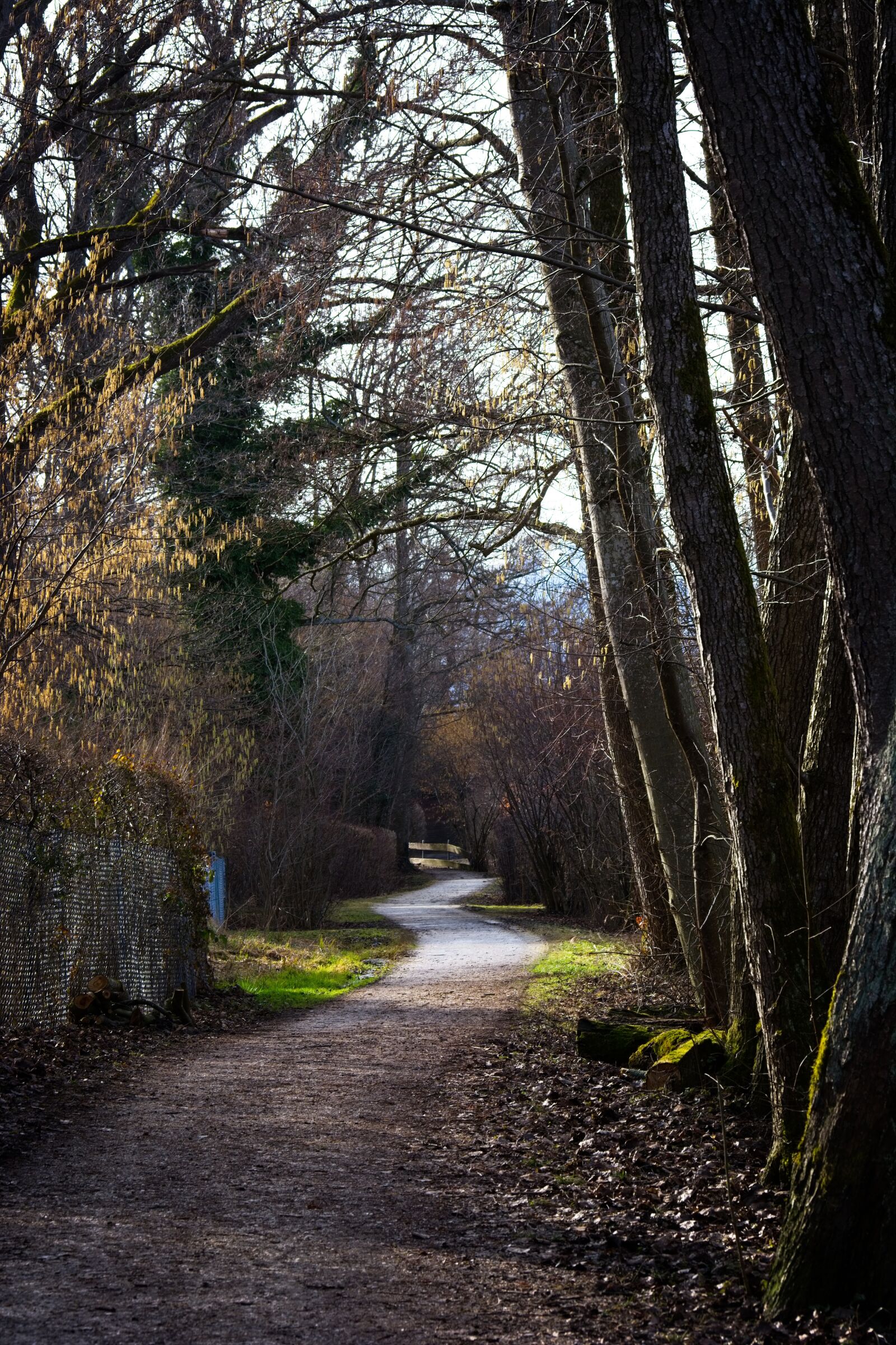 Nikon D7100 sample photo. Away, path, spring photography
