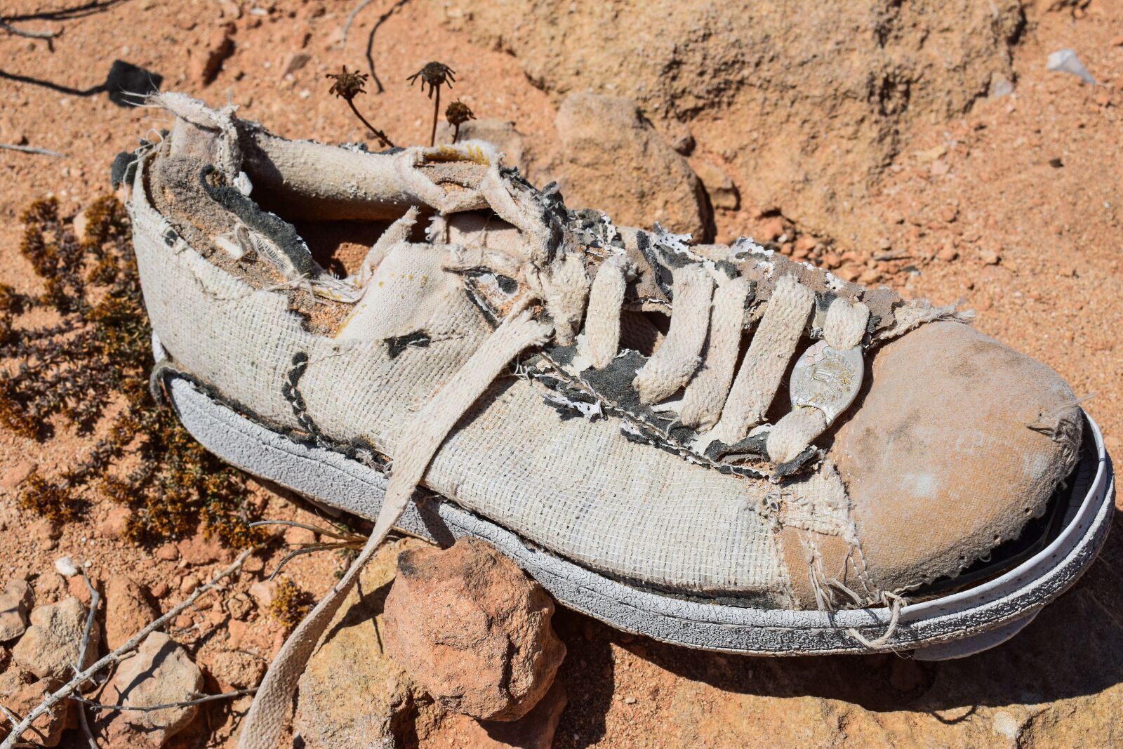 Nikon D3300 sample photo. Shoe, old shoe, decay photography