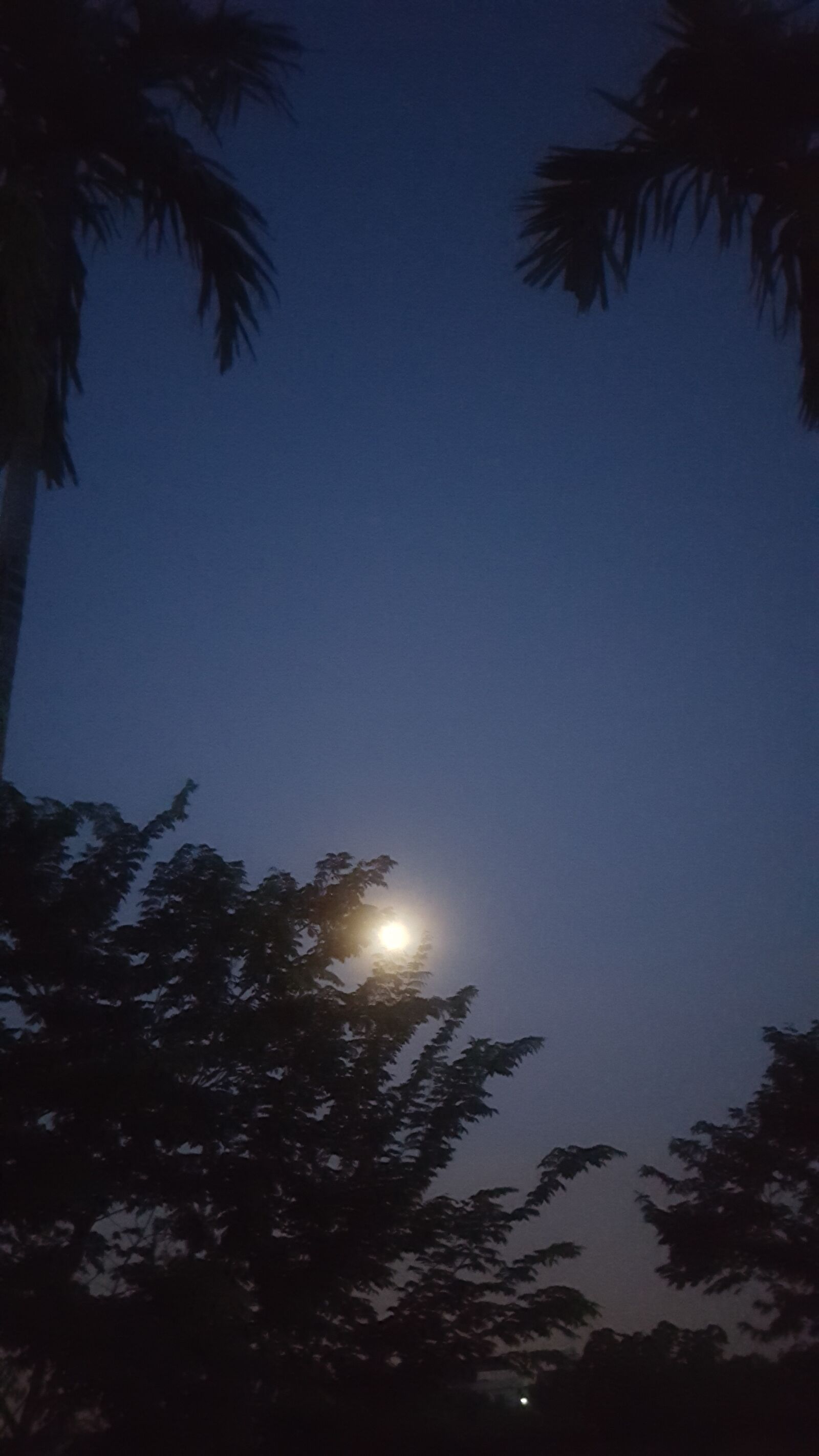 Samsung Galaxy S6 sample photo. Orphan, nature, moon photography