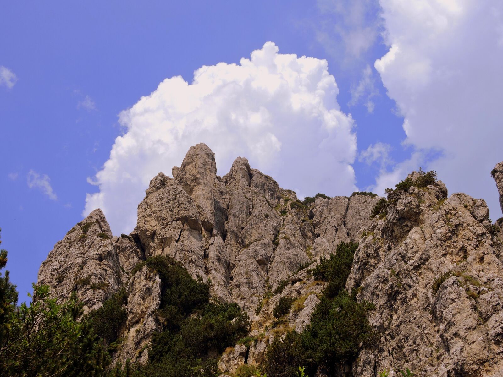 Nikon Coolpix P600 sample photo. Mountain, cloud, dolomites photography