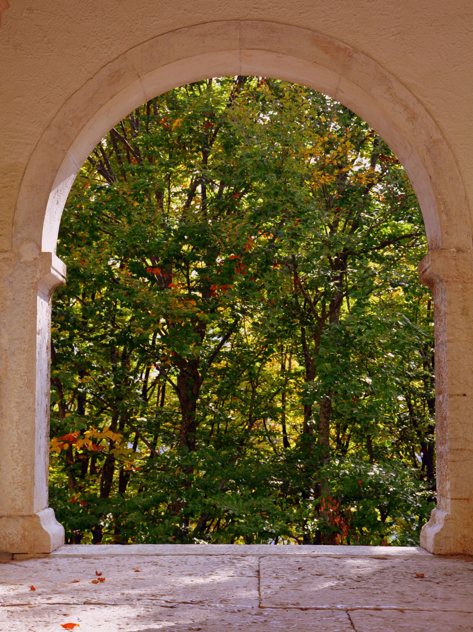 Nikon D7100 sample photo. Window, trees, arc photography