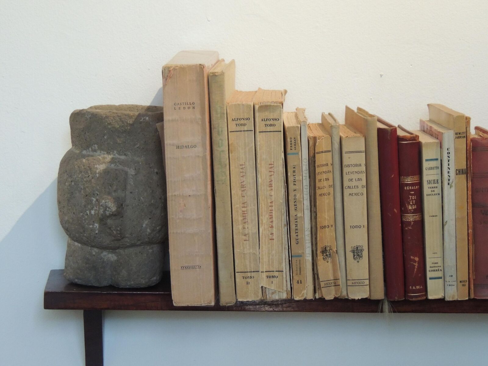 Nikon Coolpix P510 sample photo. Books, frida, kahlo photography