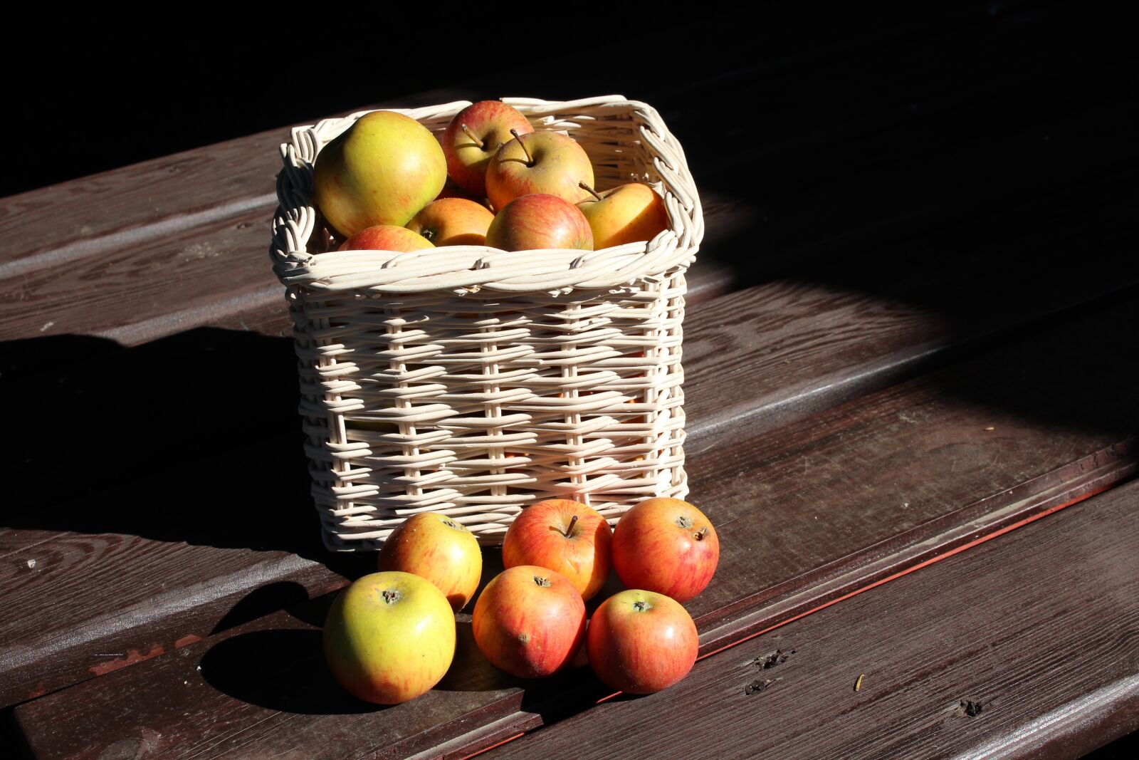 Canon EOS 1200D (EOS Rebel T5 / EOS Kiss X70 / EOS Hi) sample photo. Apples, collections, fall photography