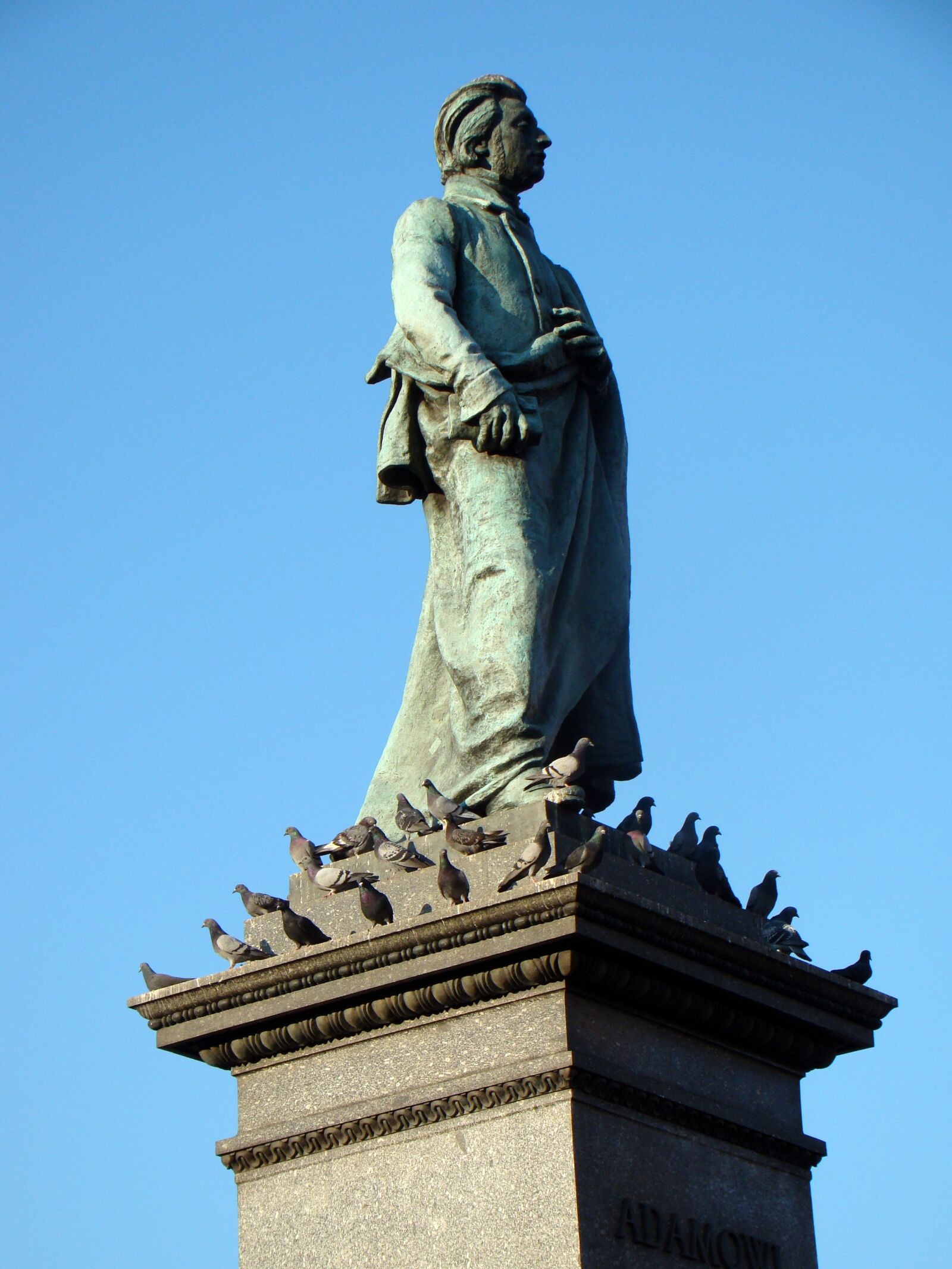 Sony Cyber-shot DSC-H50 sample photo. Monument, adam mickiewicz, pigeons photography