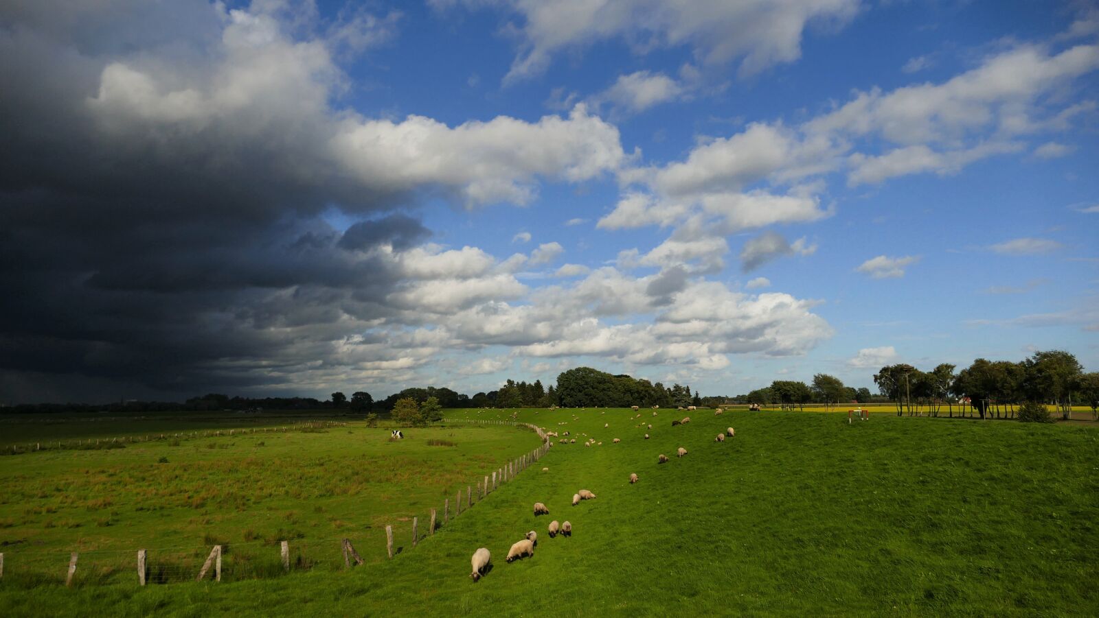 Panasonic Lumix DMC-FZ1000 sample photo. Landscape, storm clouds, sky photography