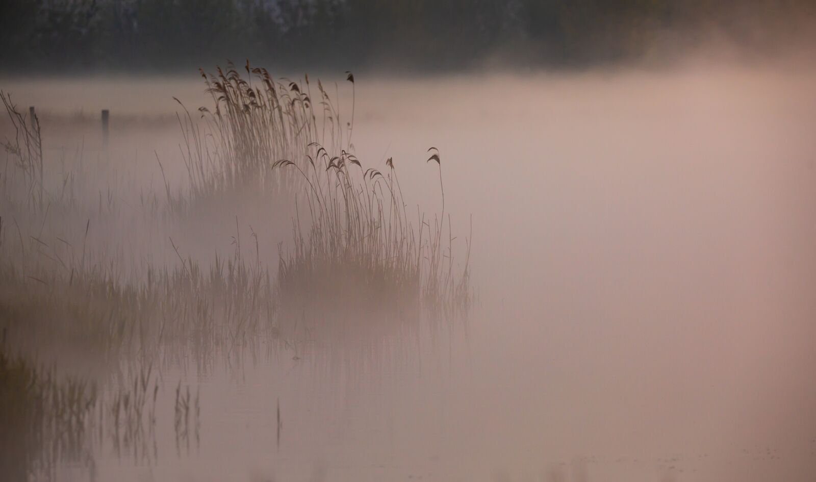 150-600mm F5-6.3 DG OS HSM | Contemporary 015 sample photo. Misty riverbank, misty, mist photography