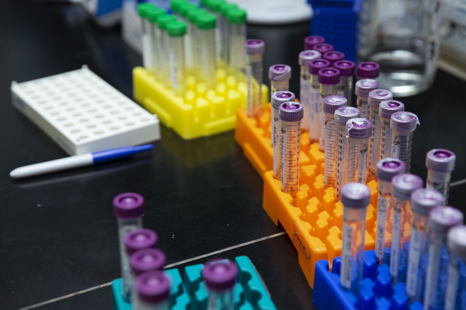 Canon EF 24-70mm F2.8L II USM sample photo. Colorful test tubes, bottles photography