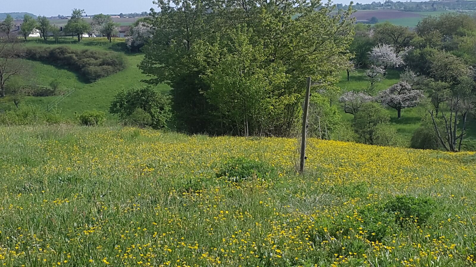 Samsung Galaxy Alpha sample photo. Germany, steinheim, weinberge photography