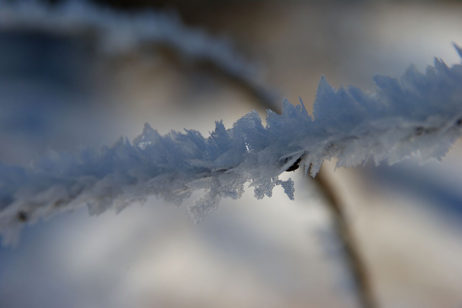 Sony Alpha DSLR-A350 sample photo. Frost, winter, winter magic photography