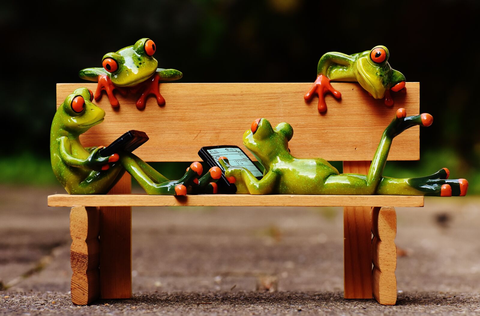 Nikon D7200 sample photo. Frogs, computer, bank photography