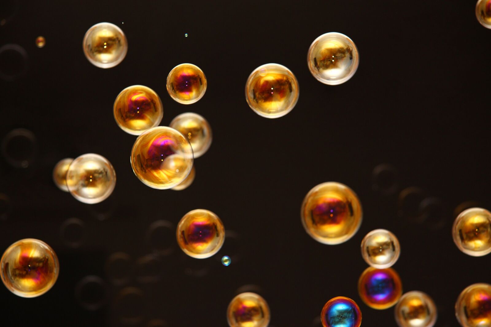 Canon EOS 40D sample photo. Soap bubbles, black, flying photography