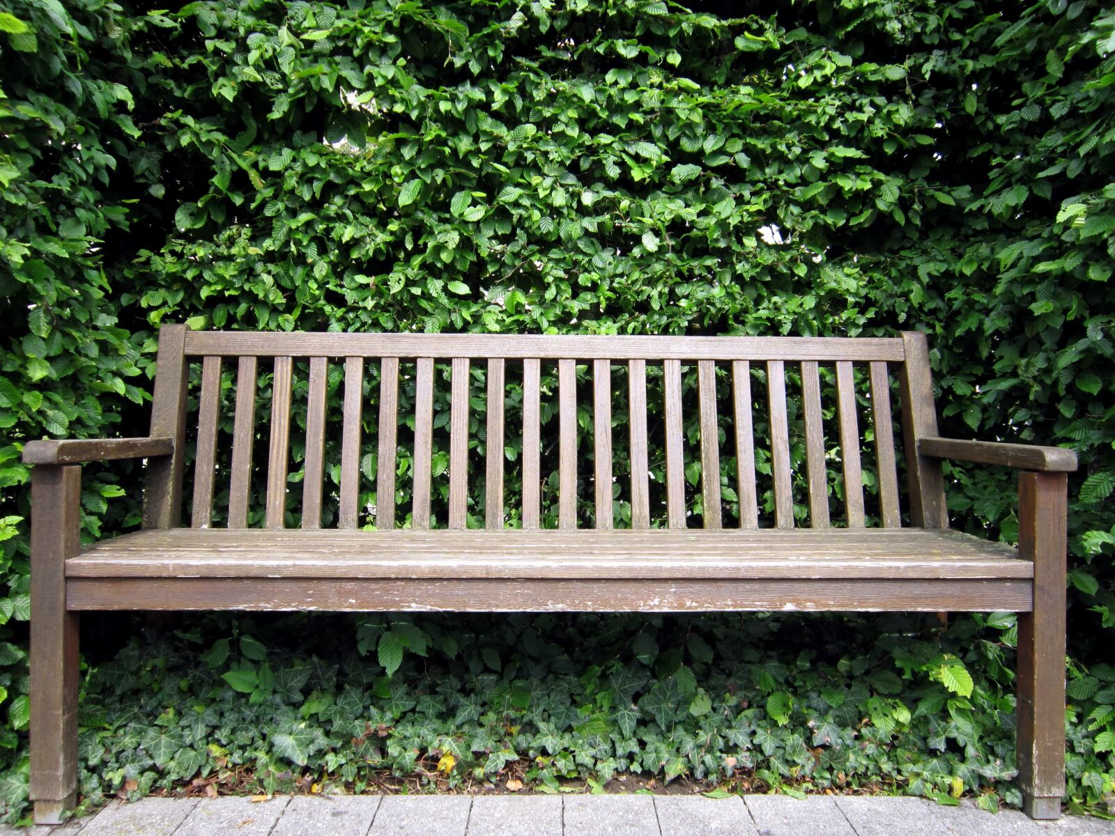 Canon PowerShot A3200 IS sample photo. Bench, leaf, nature, summer photography