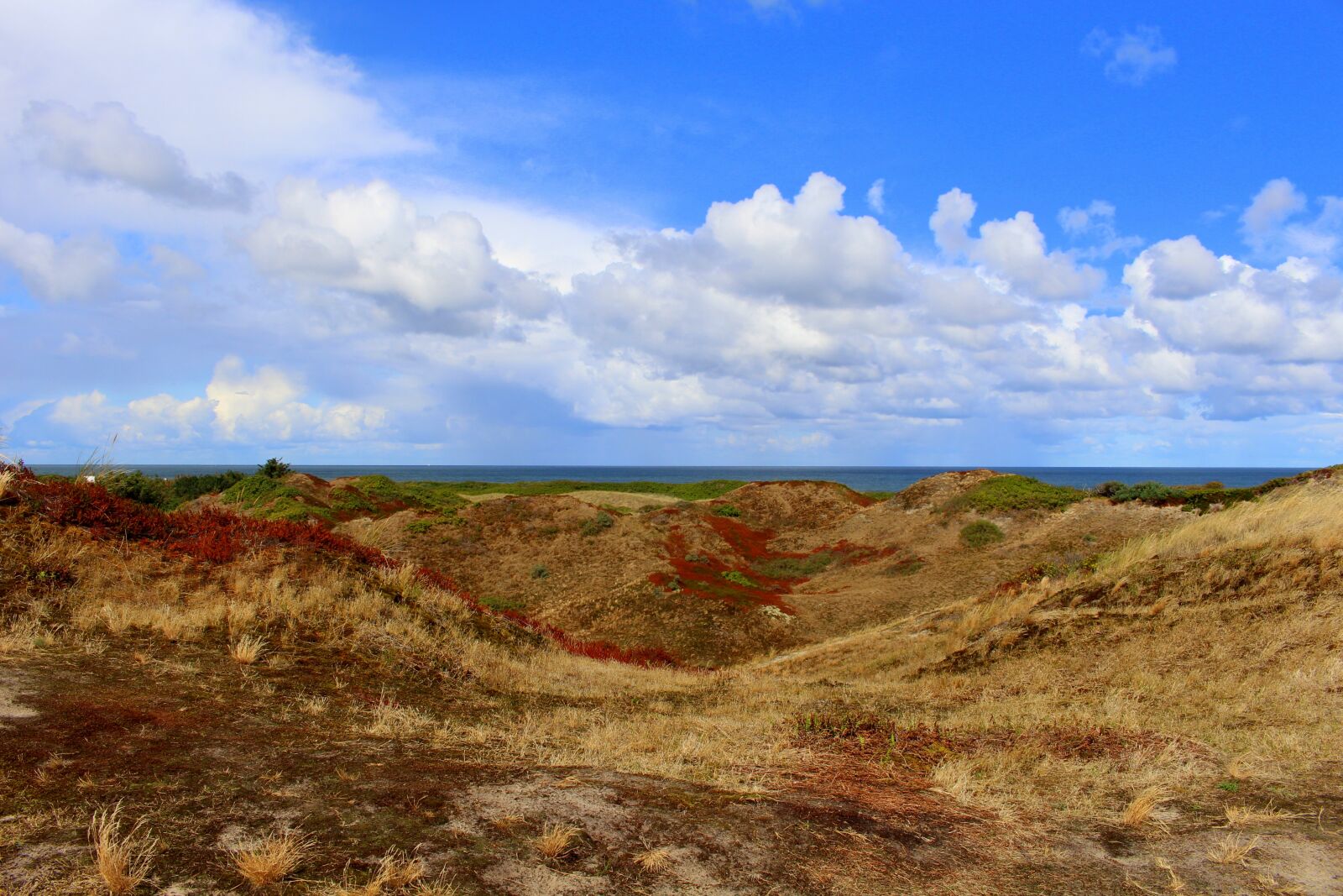 Canon EOS 700D (EOS Rebel T5i / EOS Kiss X7i) sample photo. Langeoog, island, east frisia photography