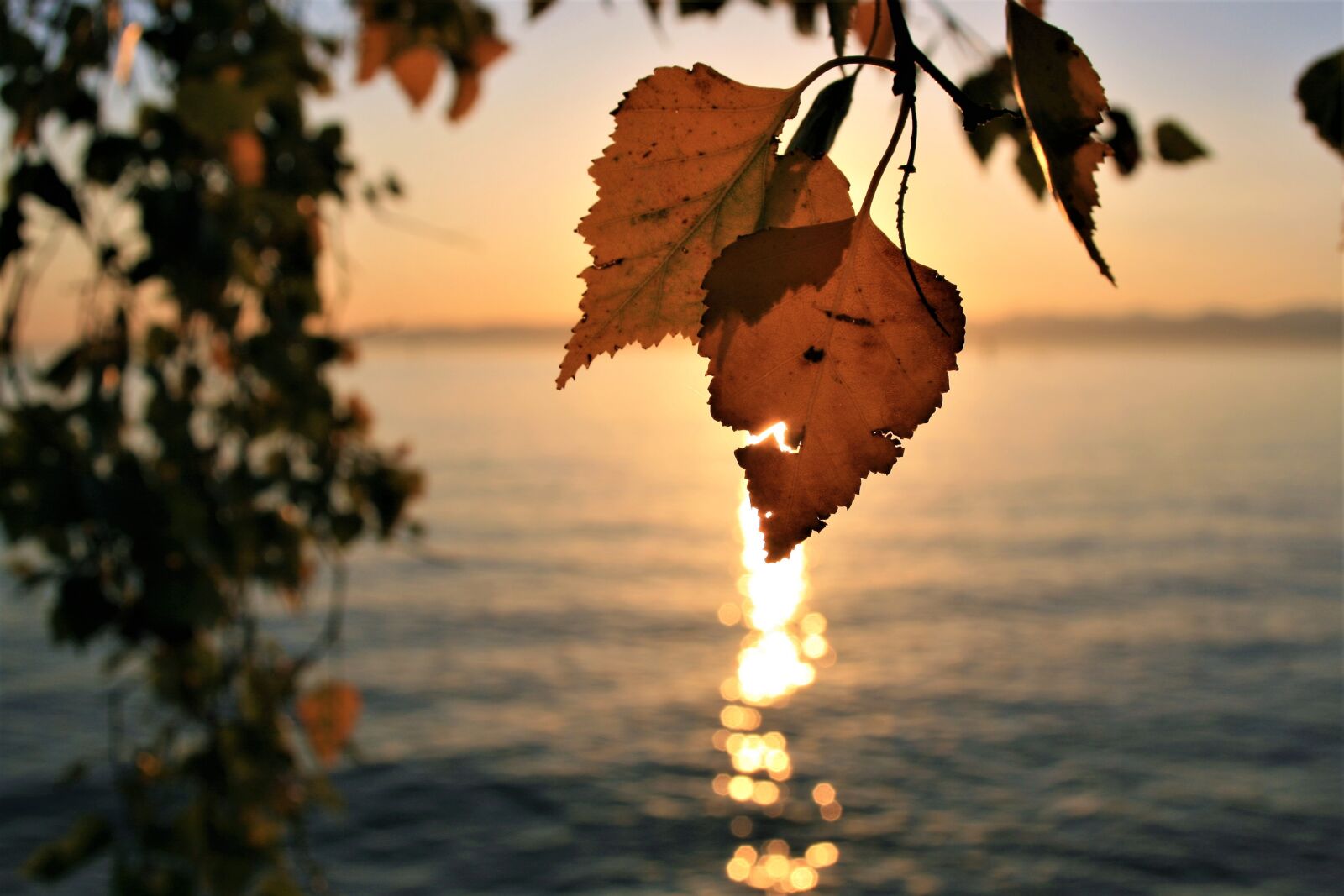 Canon EOS 400D (EOS Digital Rebel XTi / EOS Kiss Digital X) sample photo. Sunrise, para, autumn photography
