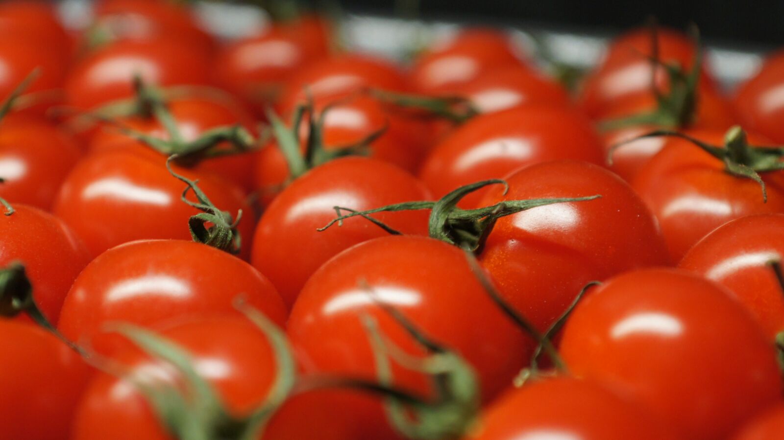 Sony Alpha DSLR-A500 sample photo. Tomatoes, vegetables, red photography