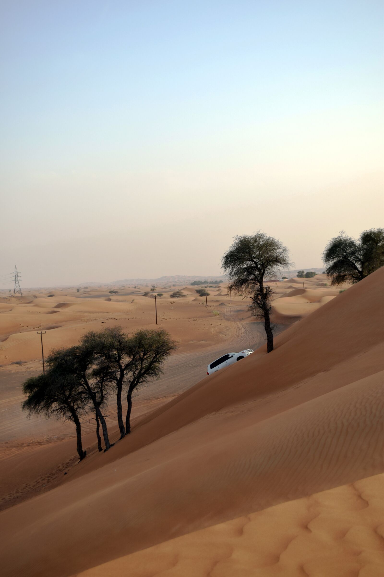 Nikon D5300 sample photo. Desert, u a e photography