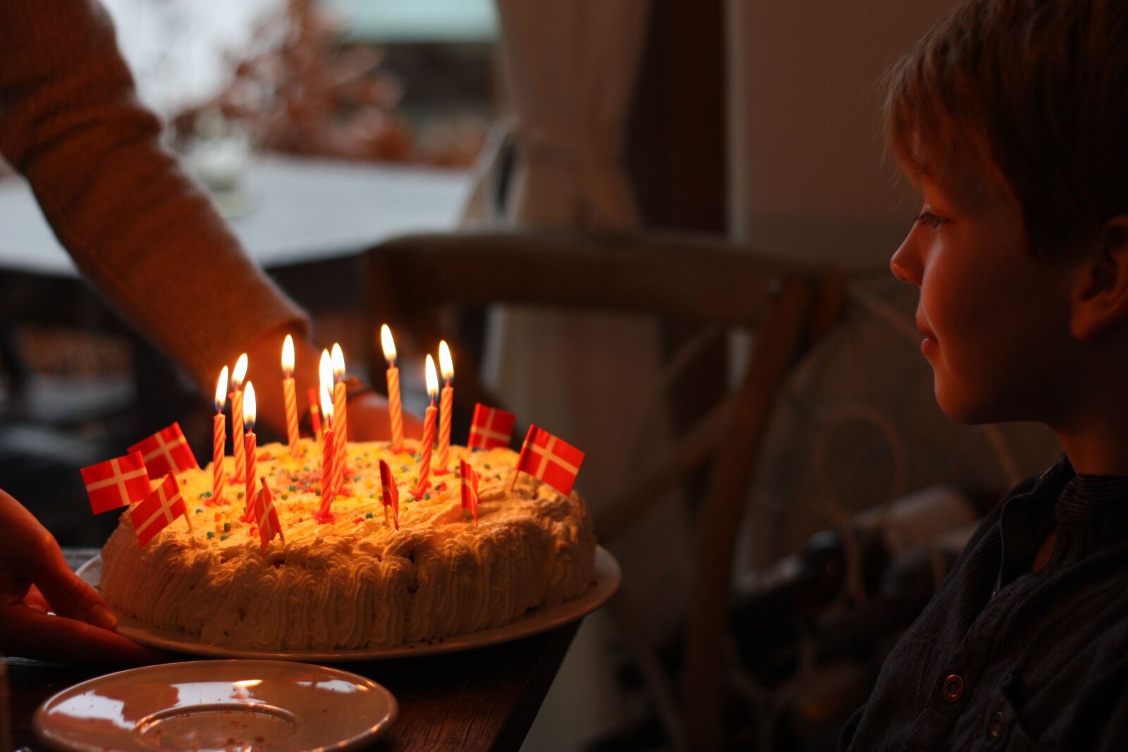 Canon EOS 450D (EOS Rebel XSi / EOS Kiss X2) sample photo. Birthday, cake, boy photography