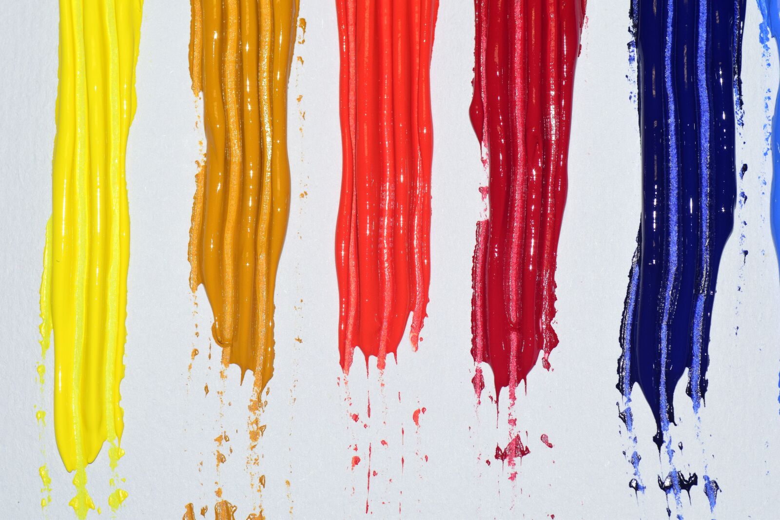 Nikon D3300 sample photo. Color, colorful, rainbow photography