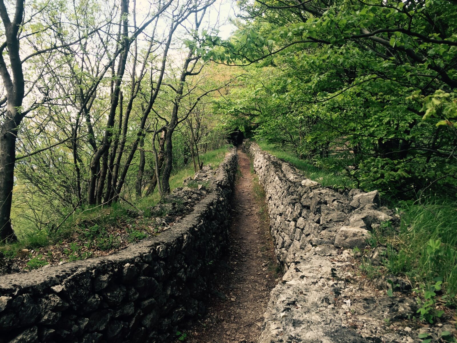 Apple iPhone 6 sample photo. Trail, mountain, nature photography