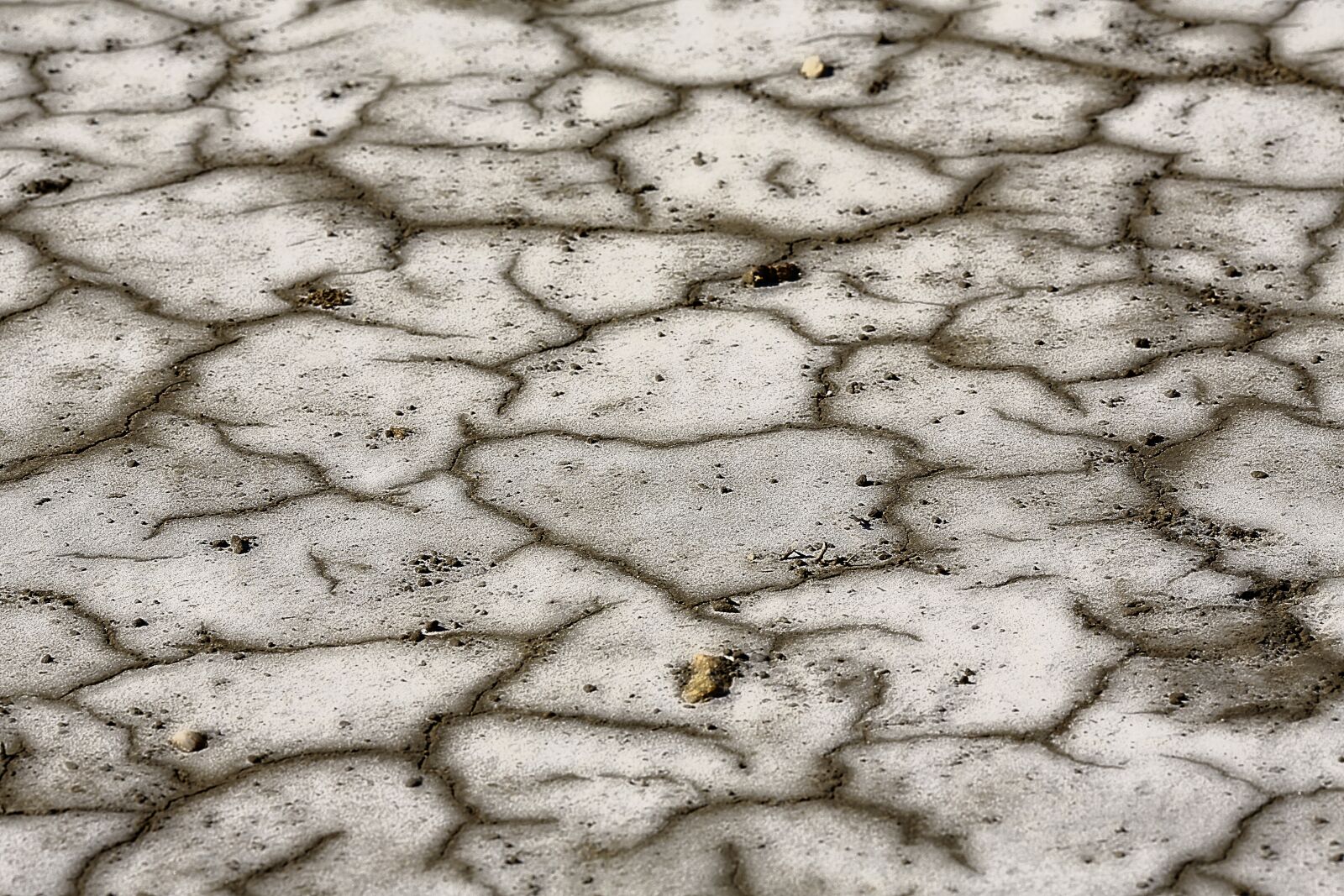 Canon EOS 5D Mark III sample photo. Earth, cracked, mud photography