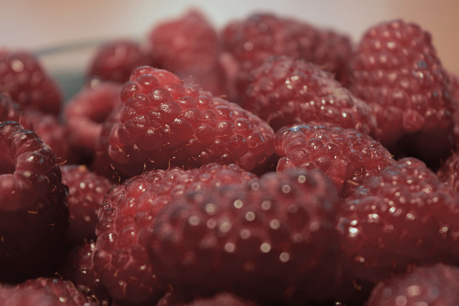 Nikon D3300 sample photo. Maliny, raspberries, summer photography