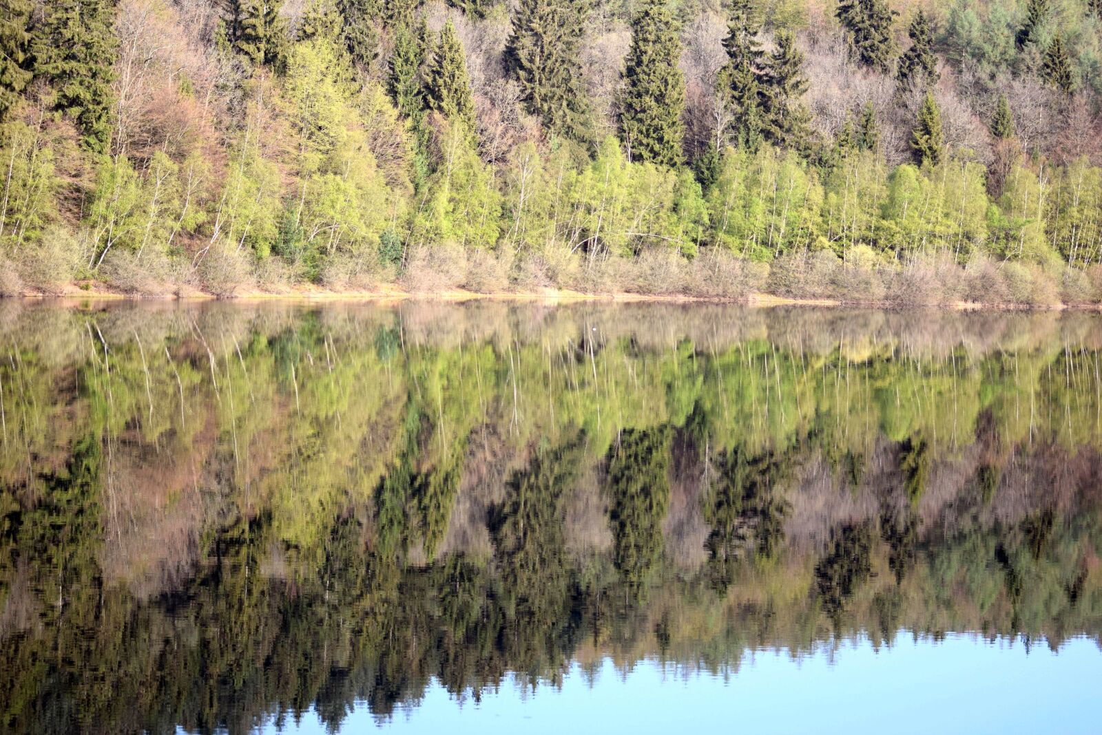Nikon D5300 sample photo. Mirroring, nature, water photography