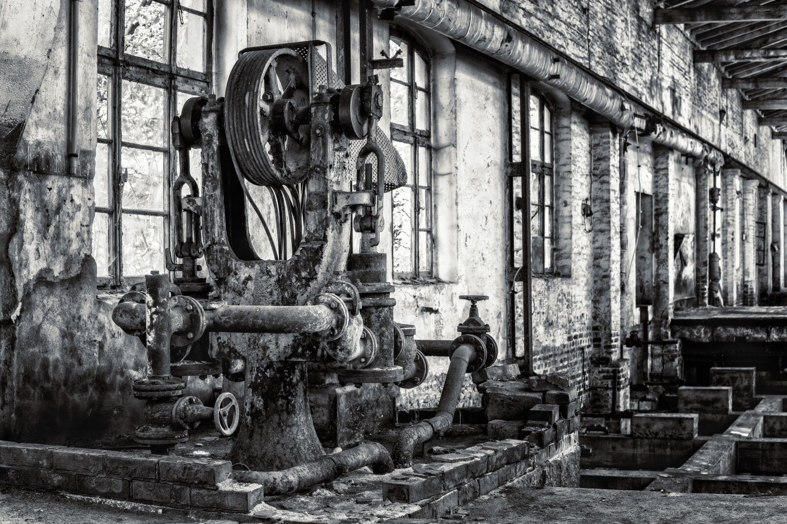Nikon Z6 sample photo. Machine, plant, technology photography