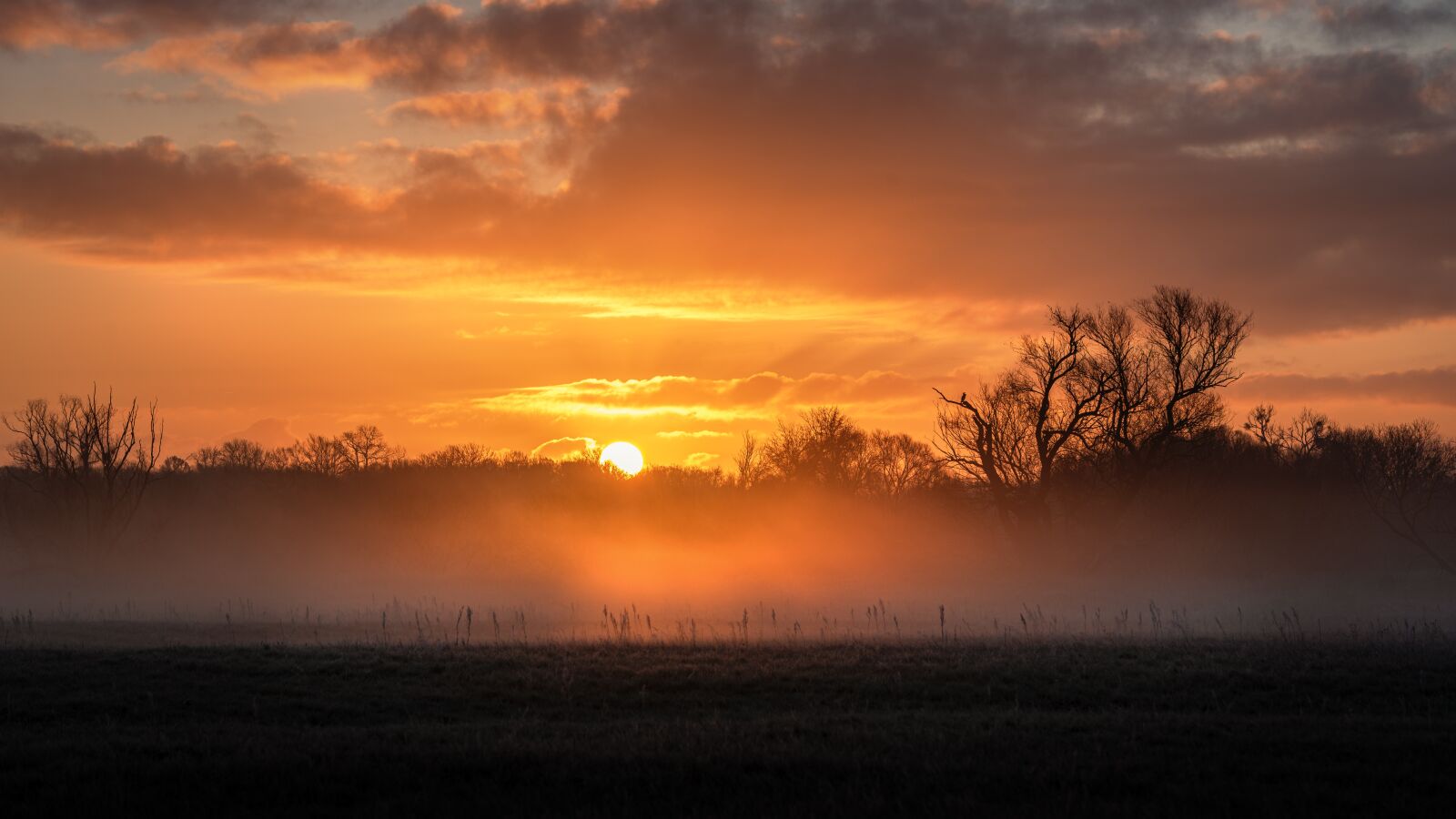 Nikon D750 sample photo. Sunrise, fog, landscape photography