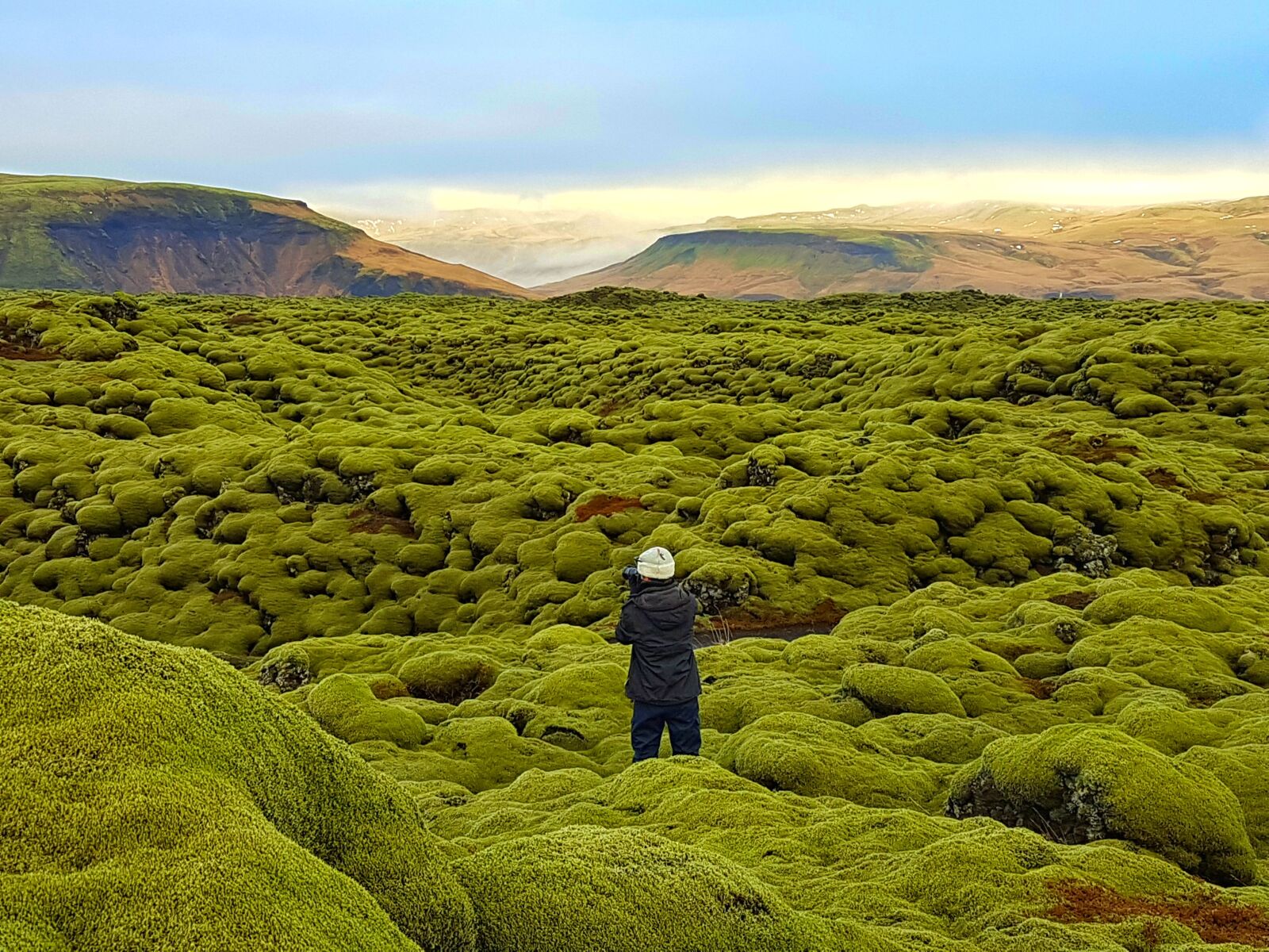Samsung Galaxy S7 Edge sample photo. Lava field, moss field photography