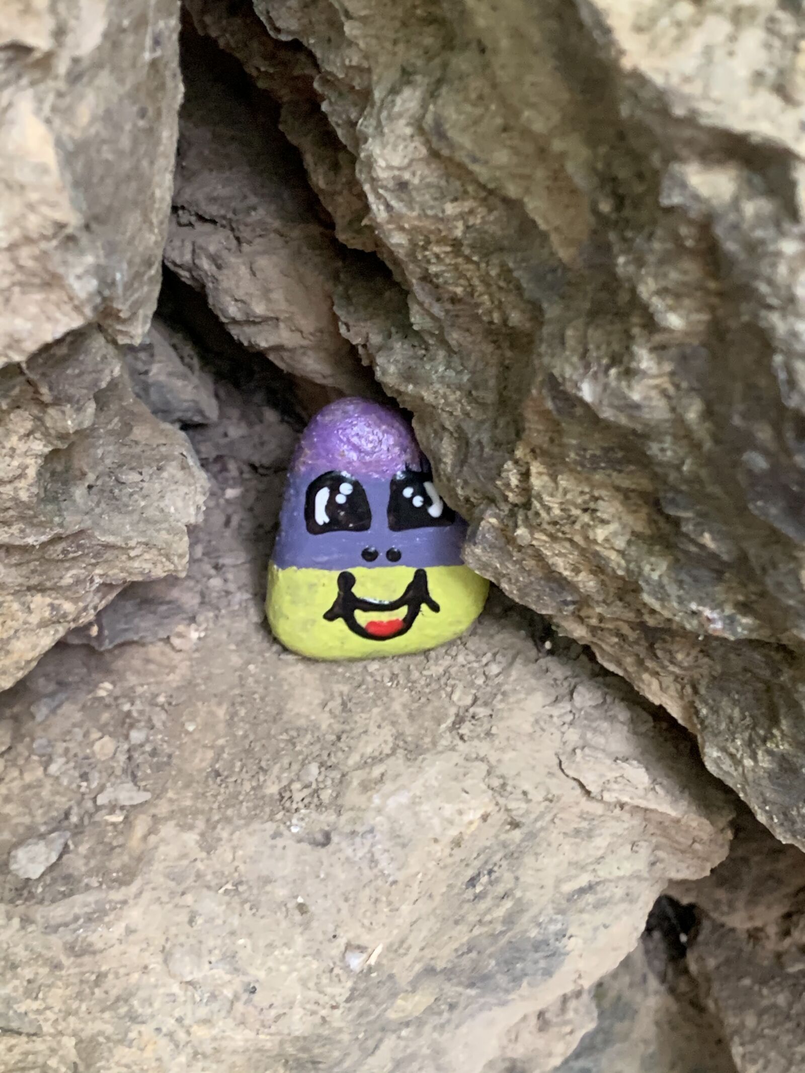 iPhone XR back camera 4.25mm f/1.8 sample photo. Stone, painted stone, friendly photography