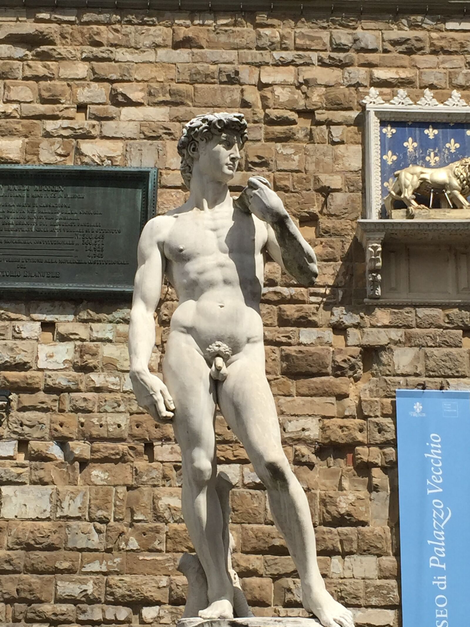 iPhone 6 Plus back camera 4.15mm f/2.2 sample photo. David, florence, michelangelo photography