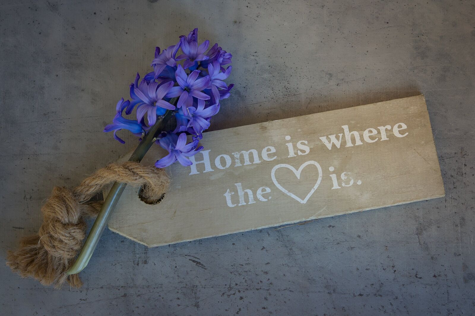 Nikon D7100 sample photo. Hyacinth, flower, flowers photography