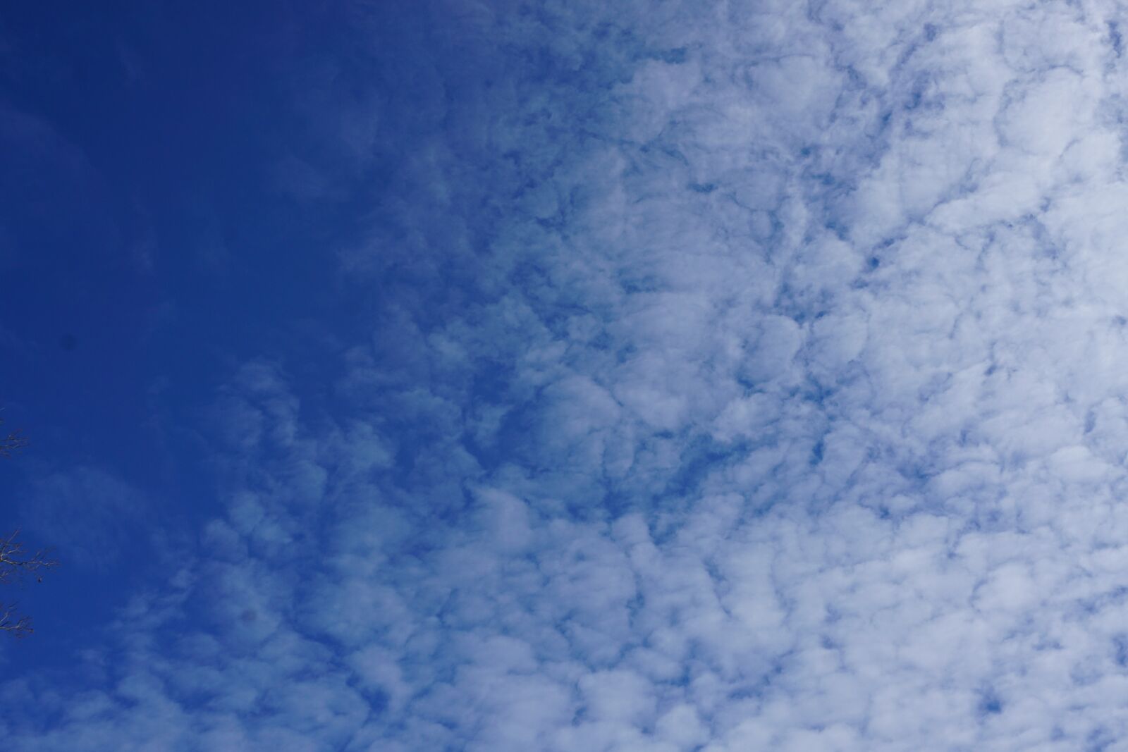 Sony a6000 sample photo. Blue, white, clouds photography