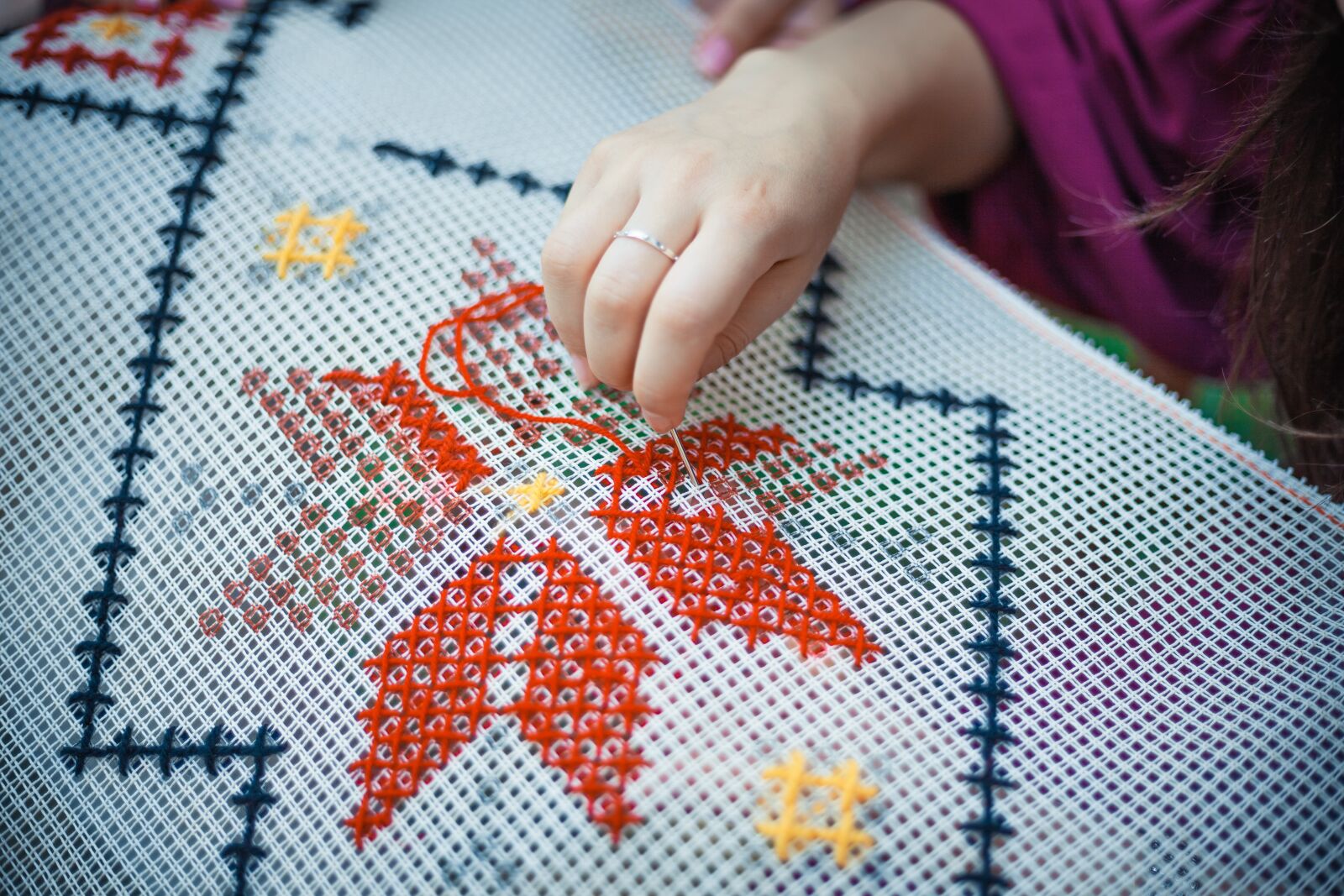Canon EOS 5D Mark II sample photo. Needlework, embroidery, needle photography
