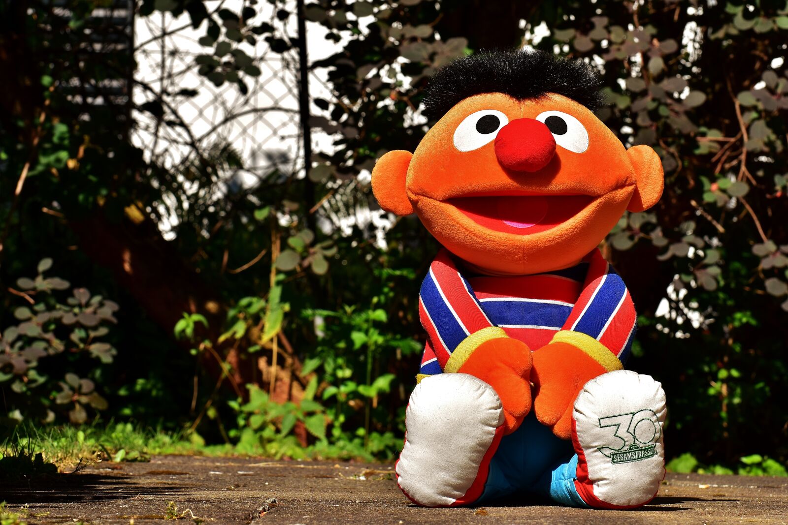 Nikon D7200 sample photo. Ernie, plush, funny photography