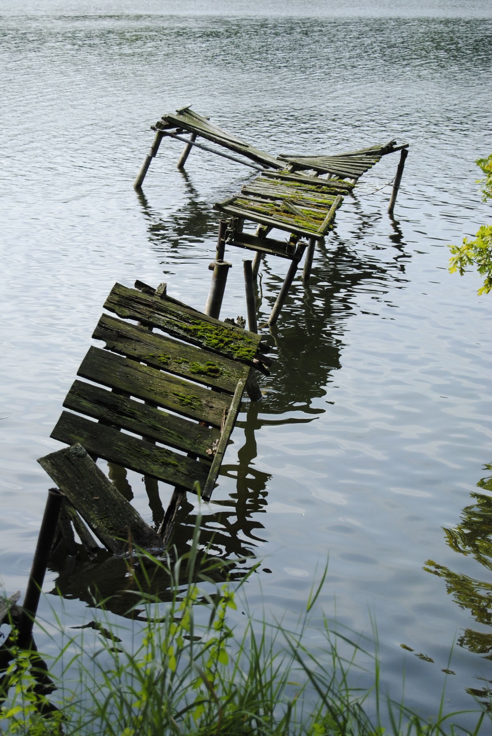 Nikon D3000 sample photo. Web, lake, water photography