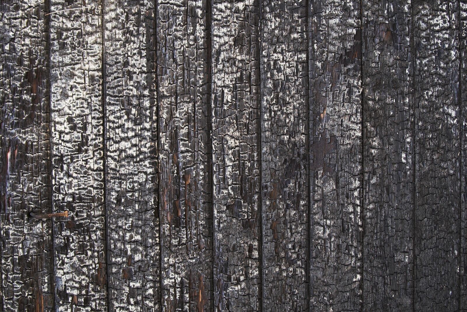Nikon D70 sample photo. Wood, burnt, texture photography
