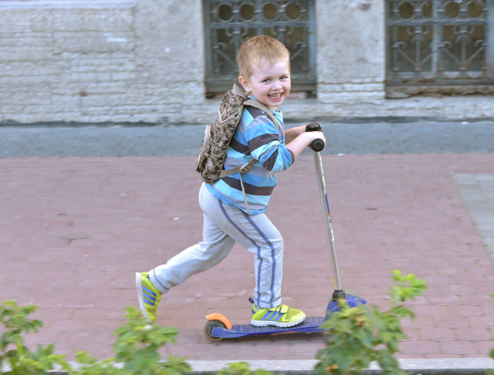 Nikon D750 sample photo. Boy, summer, stroll photography