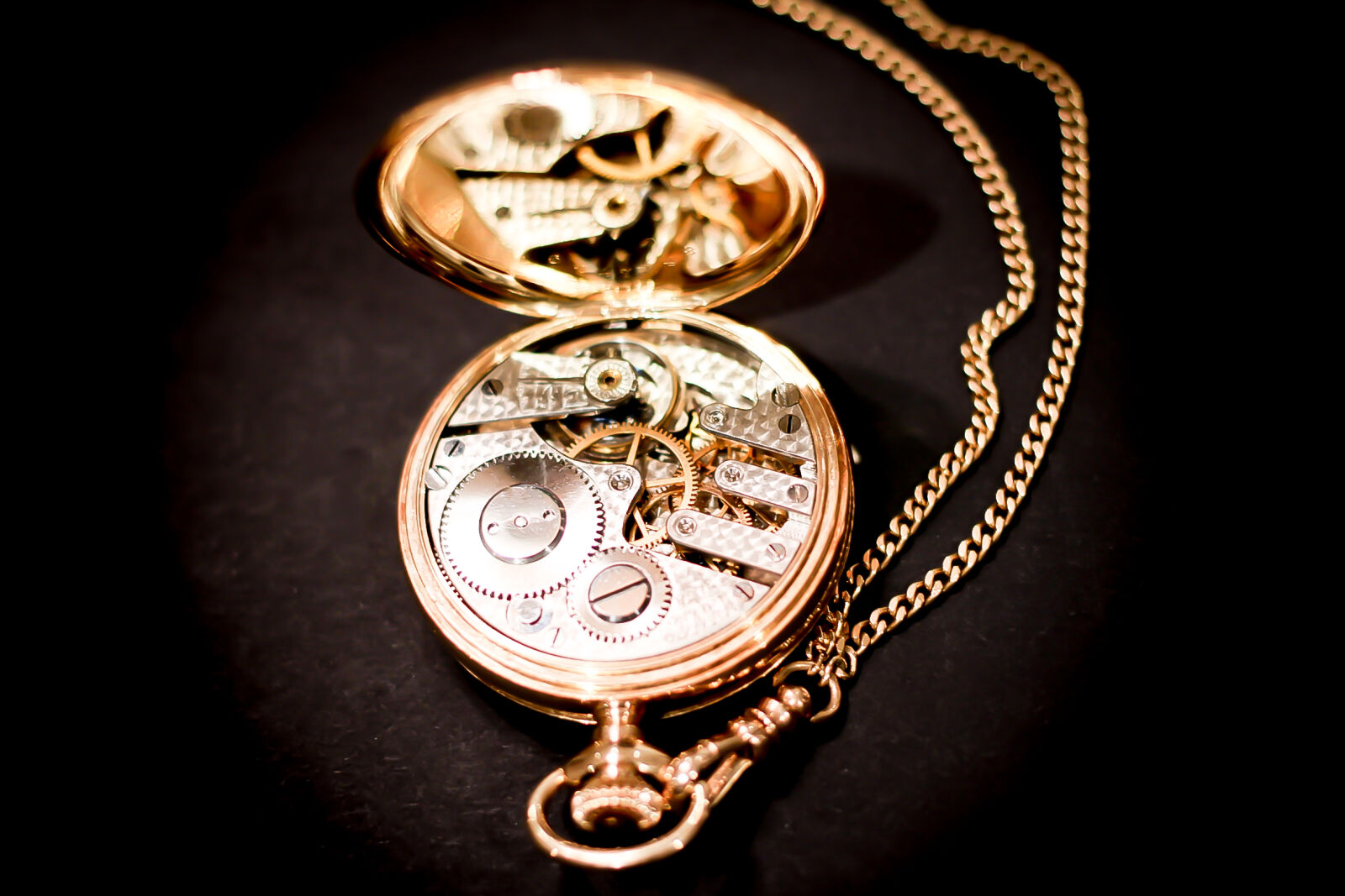 Canon EOS 650D (EOS Rebel T4i / EOS Kiss X6i) + Canon EF 40mm F2.8 STM sample photo. Gold, skeleton, pocketwatch photography