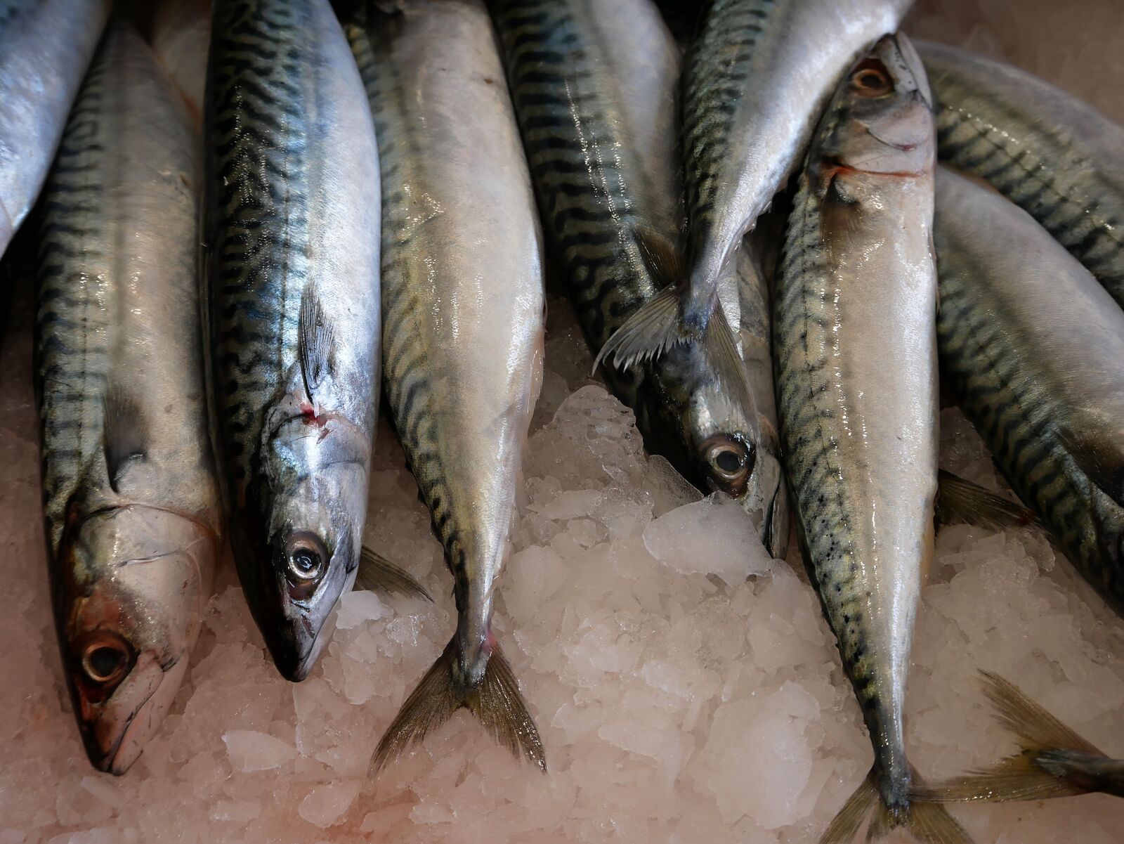 Panasonic Lumix DMC-GX85 (Lumix DMC-GX80 / Lumix DMC-GX7 Mark II) sample photo. Fish, stall, market photography