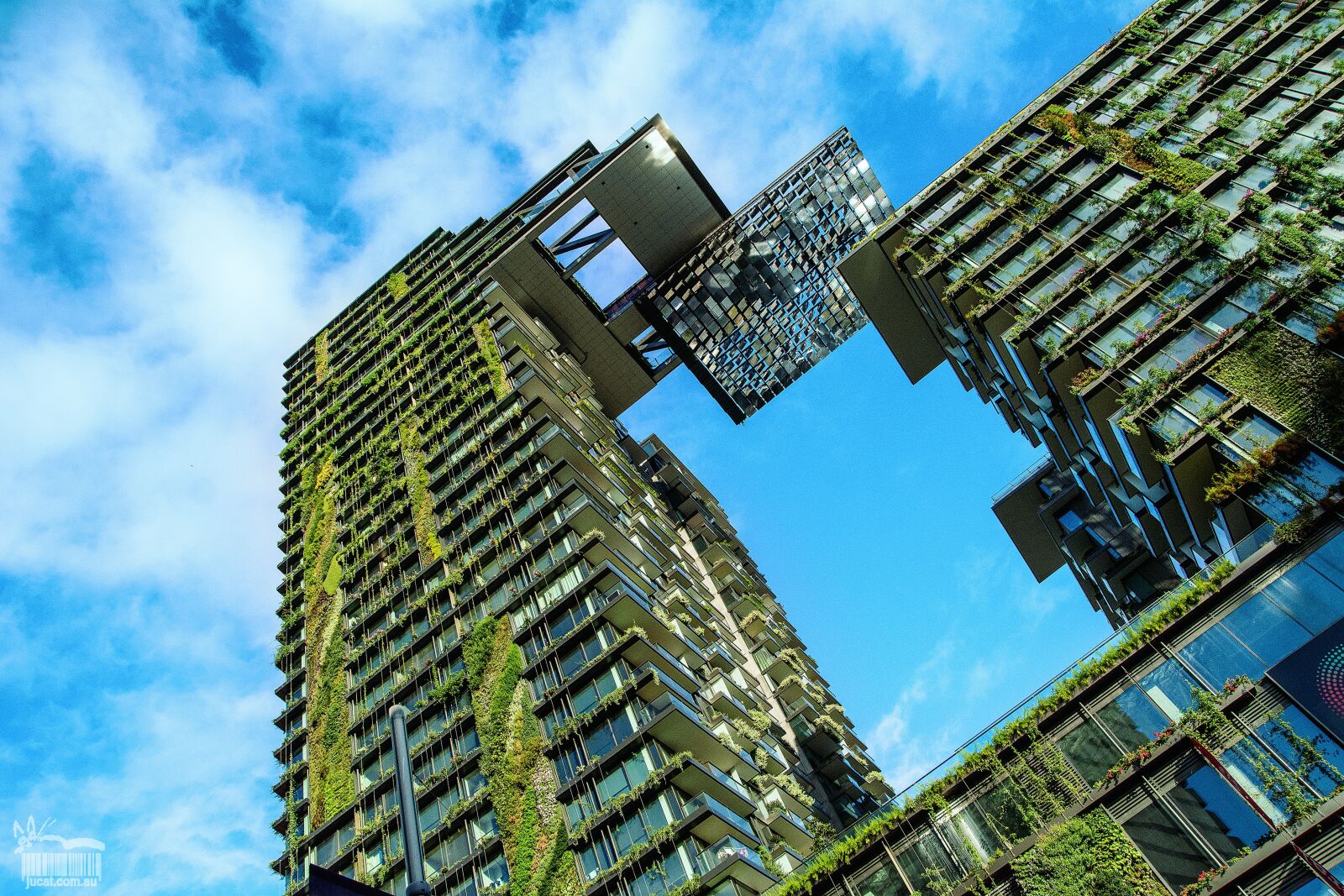Nikon D7100 sample photo. Building, plants, architecture photography