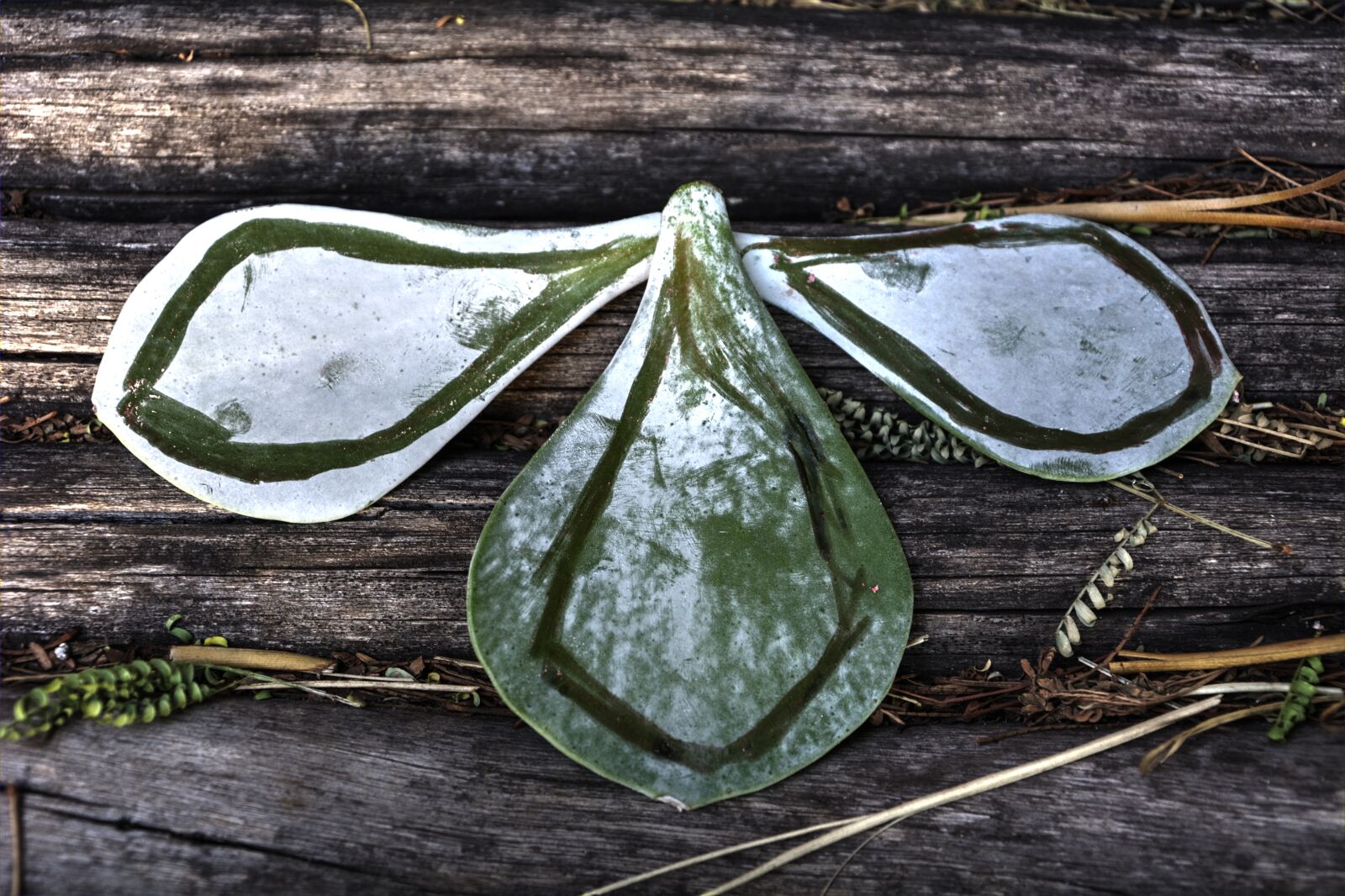 Nikon D5200 sample photo. Leaf pattern, textures, garden photography