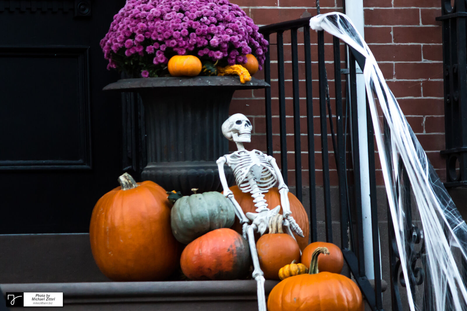 Canon EOS 600D (Rebel EOS T3i / EOS Kiss X5) sample photo. Pumpkins, in, market, during photography
