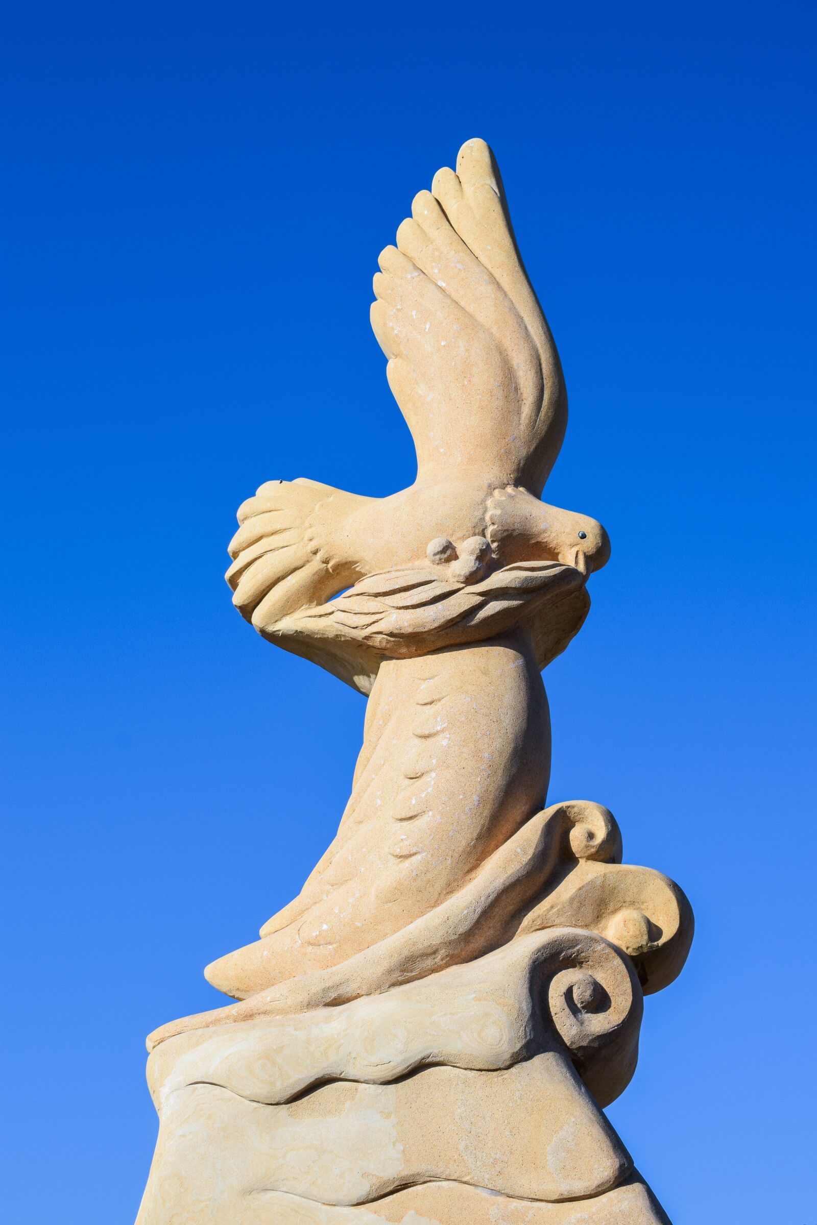 Nikon D3300 sample photo. Peace, pigeon, olive branch photography