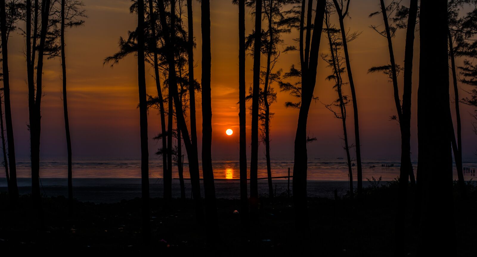 Nikon D750 sample photo. Sunset, tree, sea photography