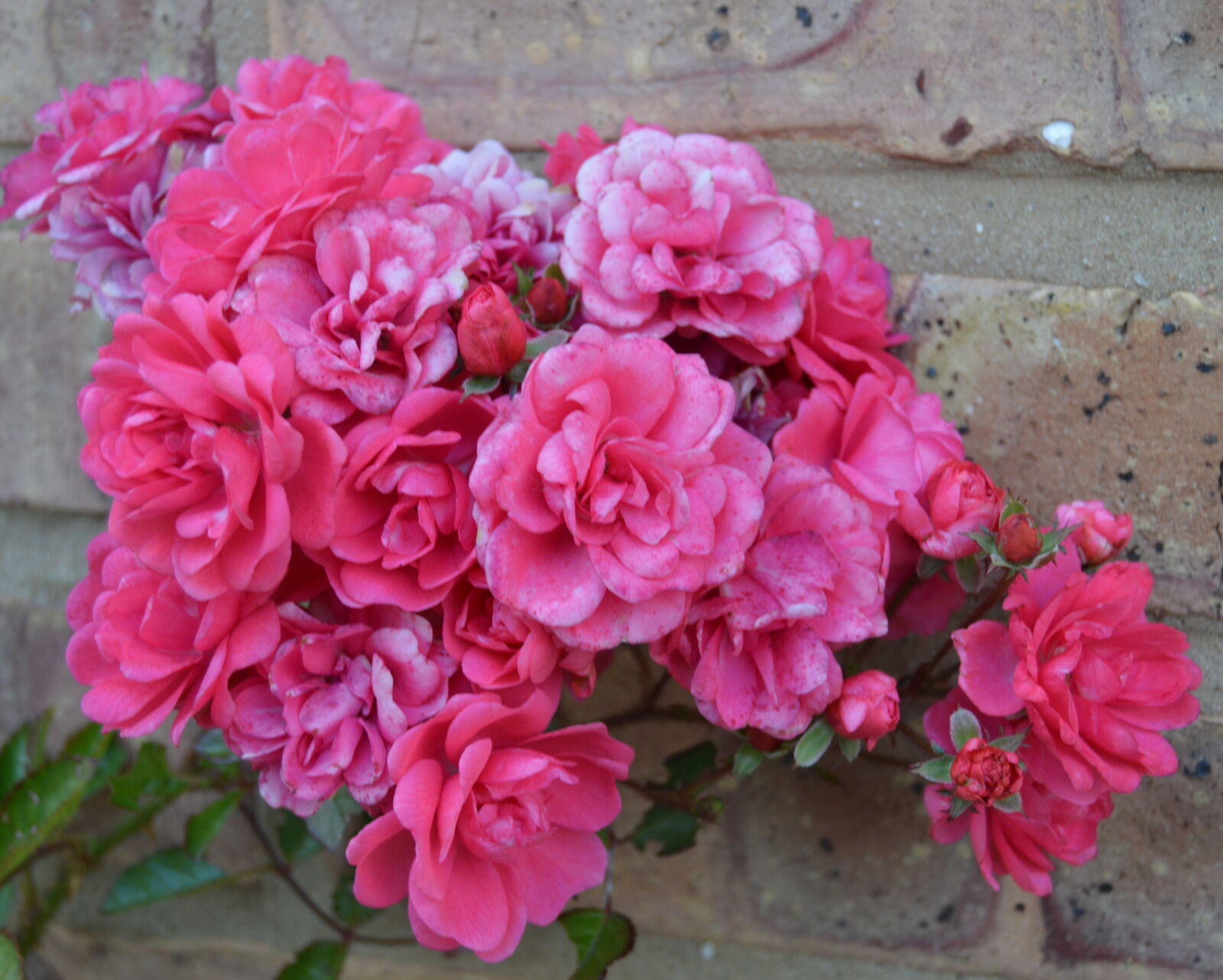 Nikon D3200 sample photo