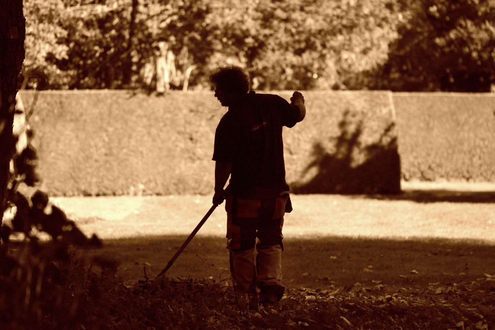 Nikon D750 sample photo. Man, gardener, gardening photography
