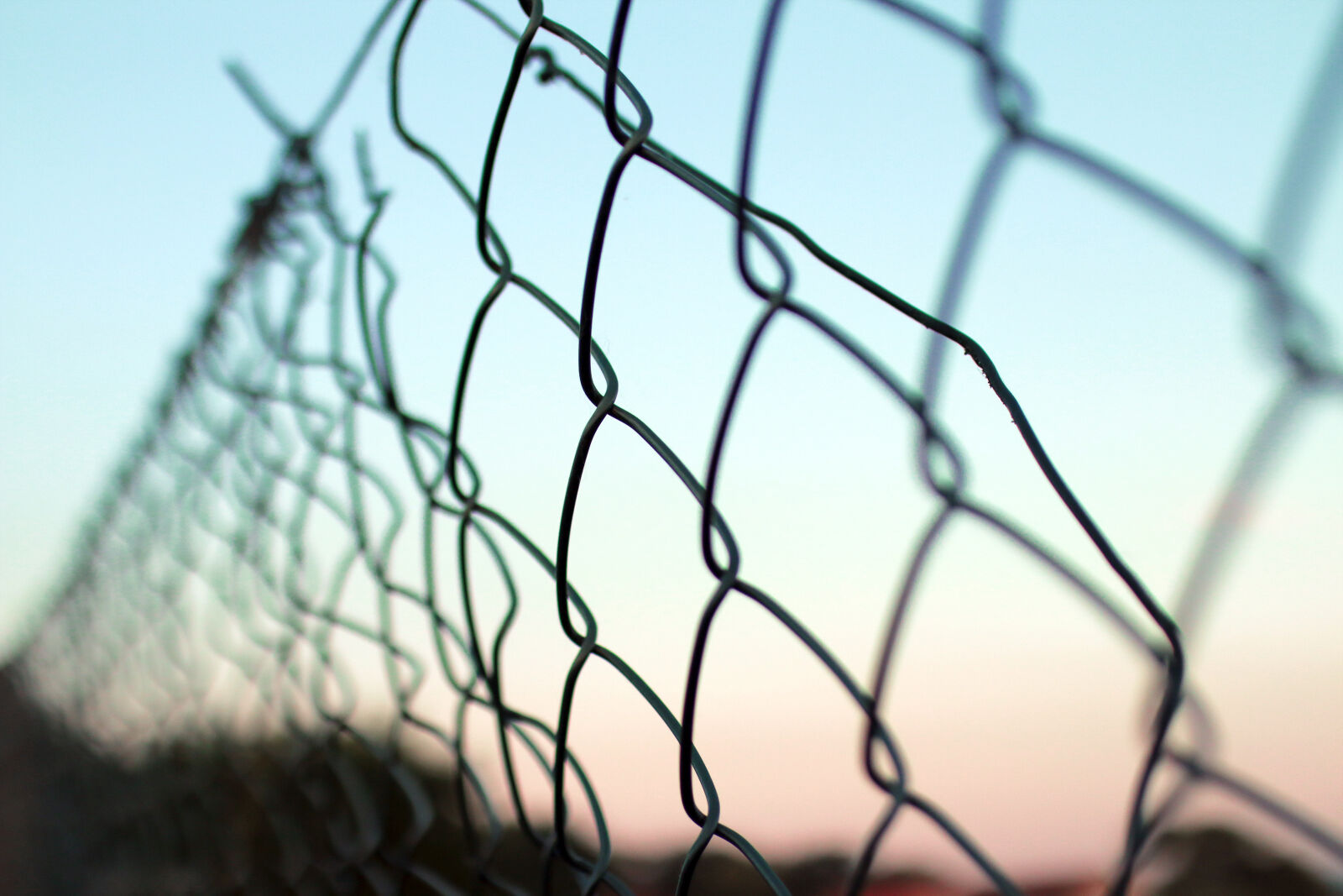 Canon EOS 70D + Sigma 30mm F1.4 EX DC HSM sample photo. Fence, obstacle, wire, mesh photography