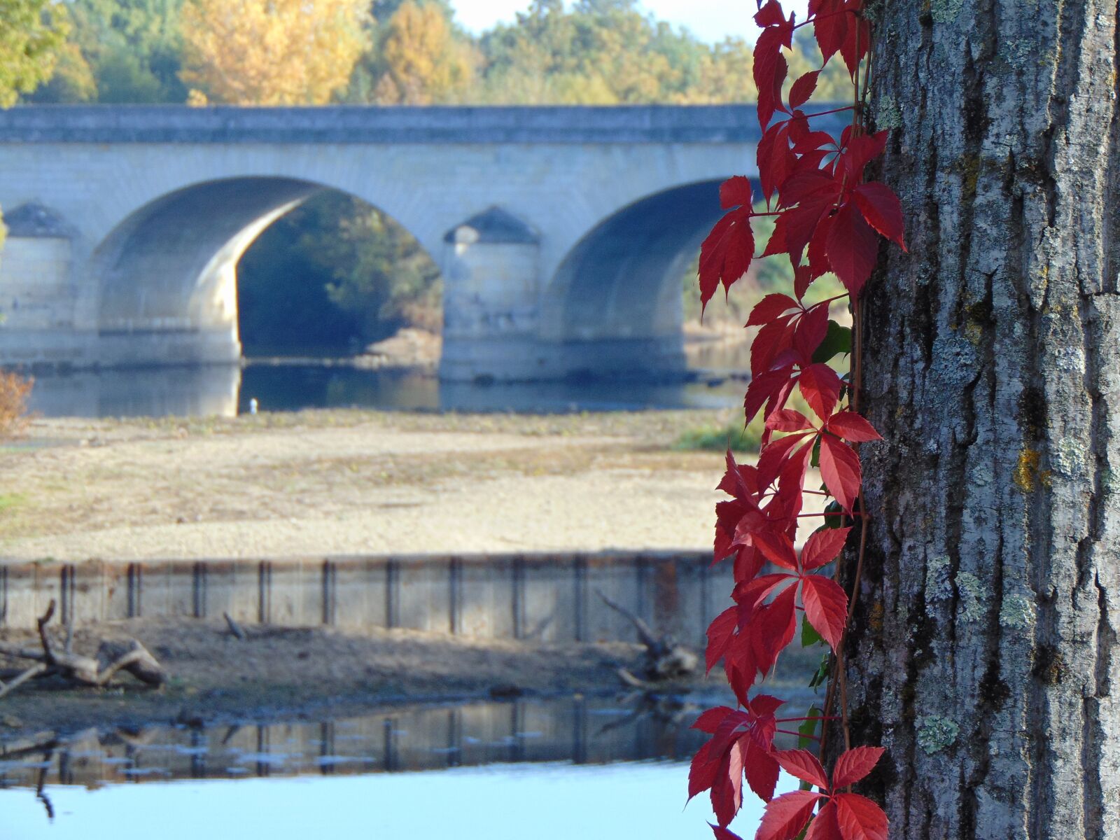 Sony Cyber-shot DSC-H300 sample photo. Bridge, red, water photography